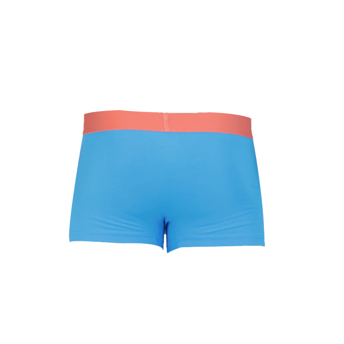 Boxer Brief with Fly